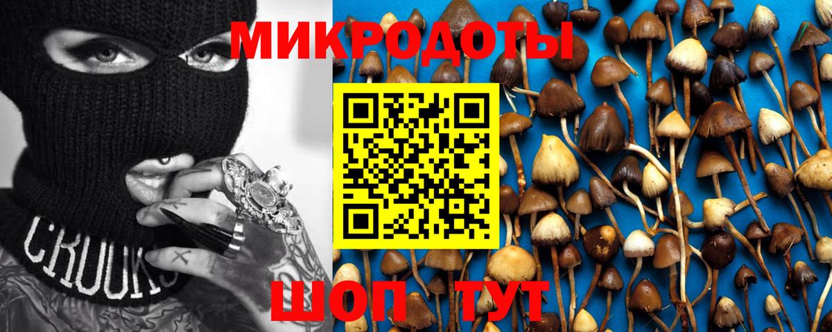 Псилоцибиновые грибы Psilocybe  Псилоцибиновые грибы Magic Shrooms  Тимашёвск  Вход с VPN 